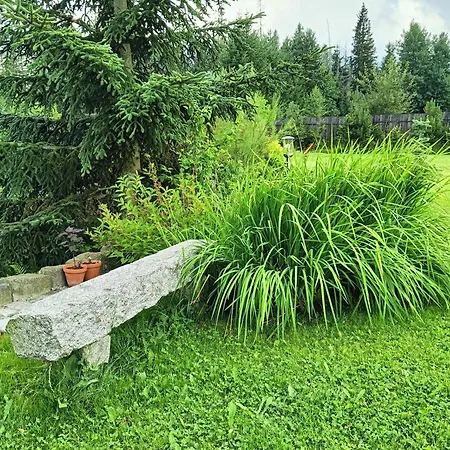 Nad Stawem * Zakopane