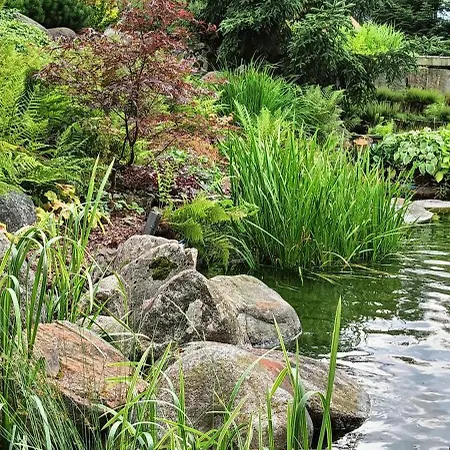 Nad Stawem Apartmán *